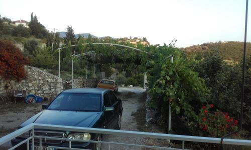Hostal Niva