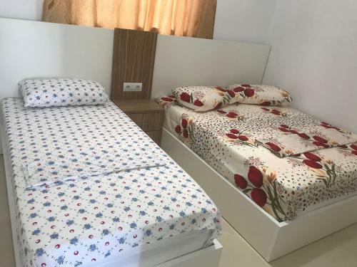 Apartamento Vila Veliaj