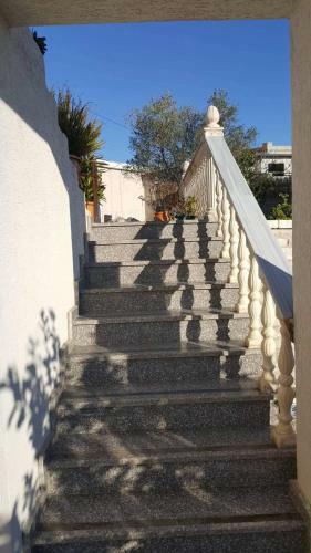 Hostal Studio Apartament Zambaku