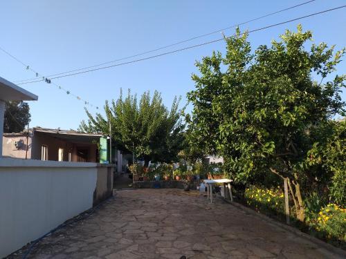 Niks Apartments
