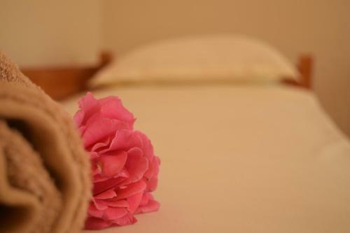 Apartamento La Casa Di Nonna