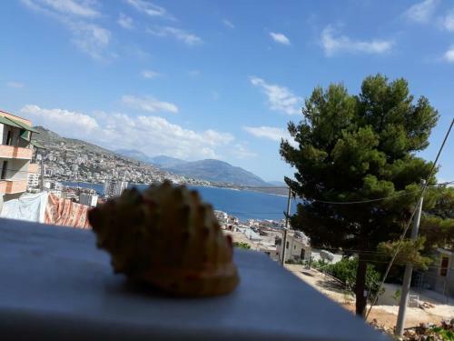 Grejsa Apartament