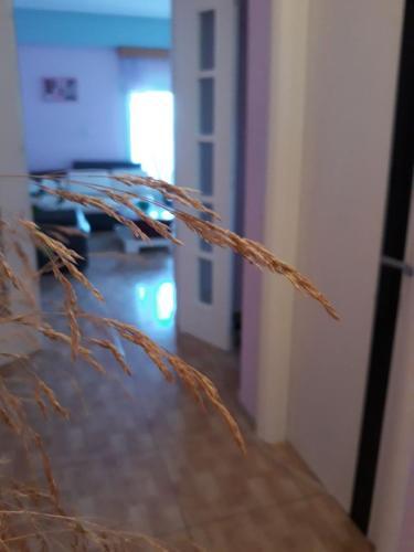 Grejsa Apartament