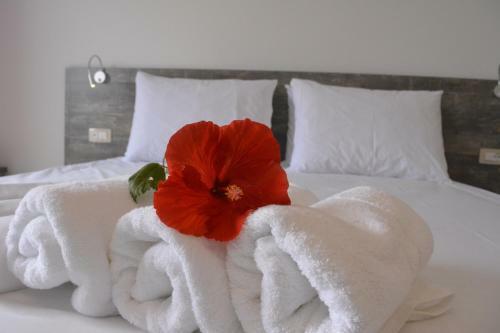 Mucobega Hotel 2