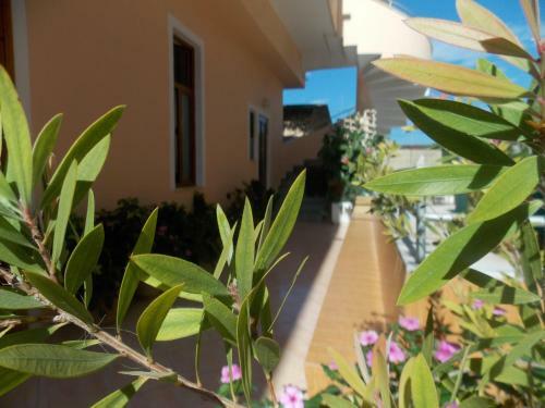Armanda Apartment