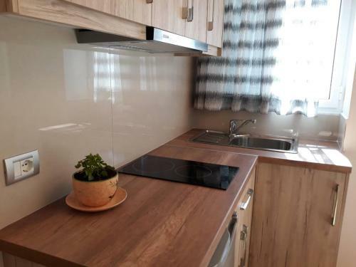 Xhorxhi's Apartament