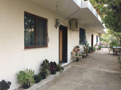 Anxhelo Apartments