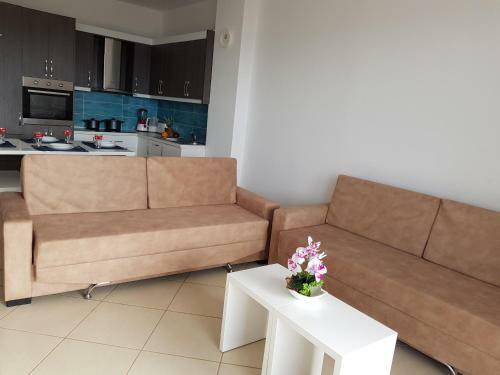 Exotic Apartment
