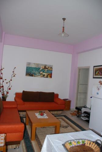 Hostal Olive Tree