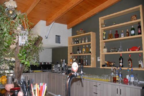 Hostal Olive Tree
