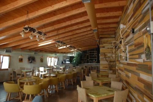 Hostal Olive Tree