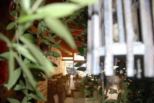 Hostal Olive Tree