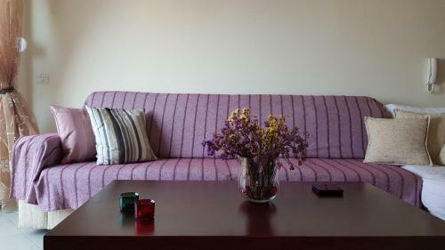 Kodra Apartment