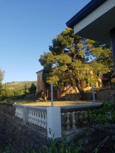 Panoramic View Over Shkodra's Lake - Serena Home