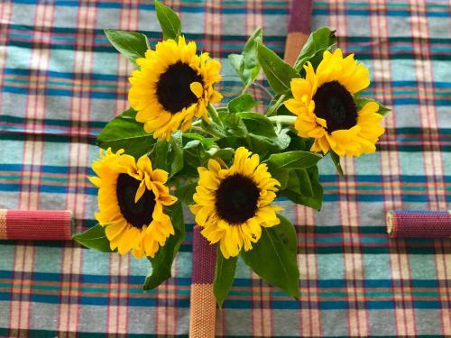 Apartamento Flo?s Sunny Home