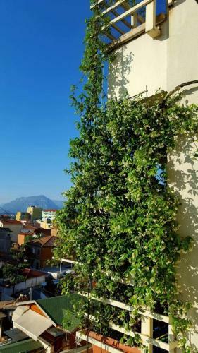 Apartamento Tirana Stadt Art Residenz