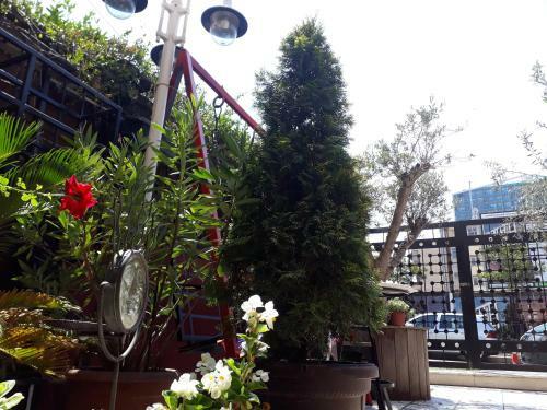 Andre Hostel