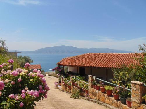 Hotel Garden Vila Reizi