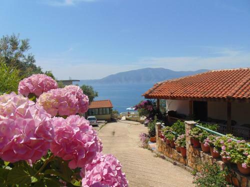 Hotel Garden Vila Reizi