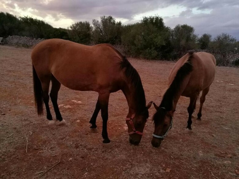 Agroturismo Matxani Gran