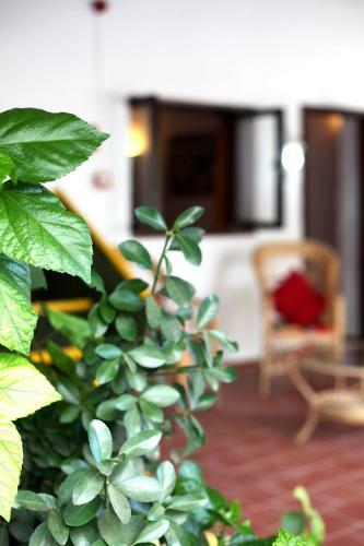 Agroturismo Matxani Gran