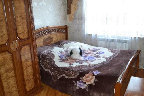 Vahan`s Apartment