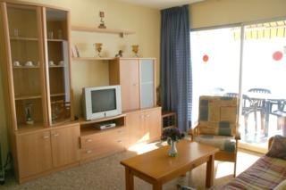 Villa Apartamentos Borodin