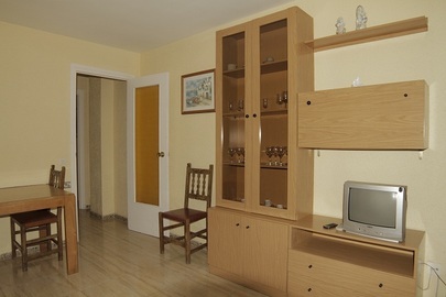 Villa Apartamentos Borodin