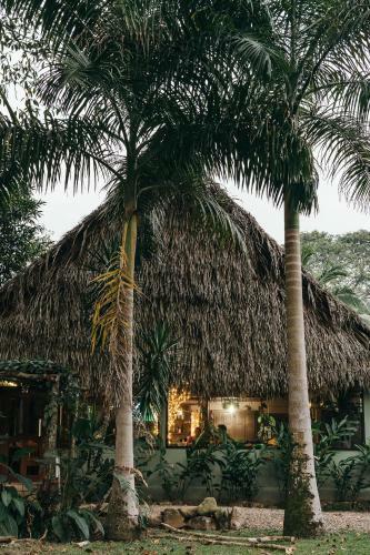 Hotel Bocawina Rainforest Resort
