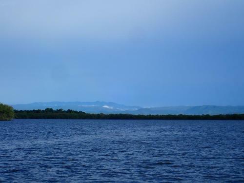 Toucan At Bay's Edge