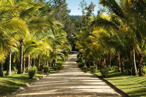 Blancaneaux Lodge