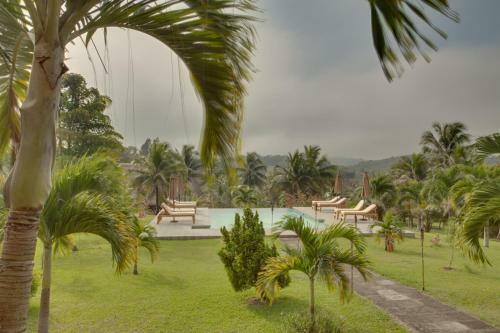 Hotel Cassia Hill Resort