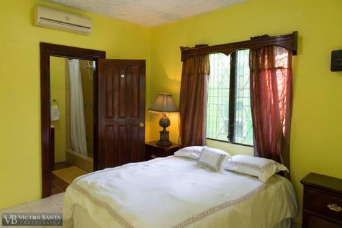 Belize Toucan Nest Hotel