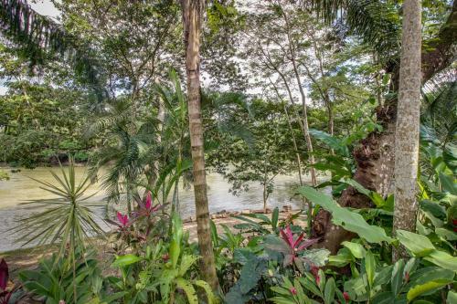Apartamento Mahogany Hall
