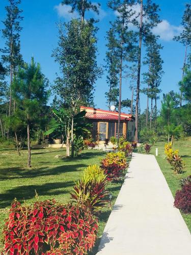 K?ne Villas - Mountain Pine Ridge