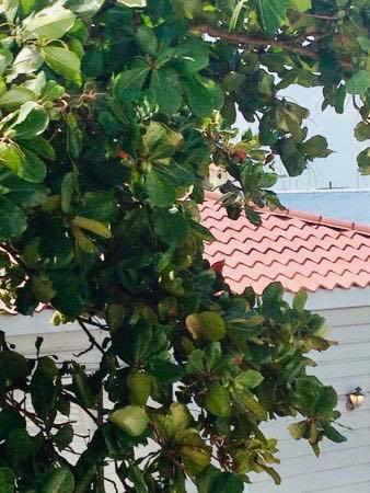 Hotel Coastal Bay