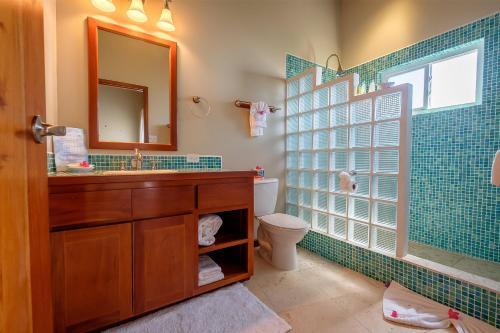 Apartamento Indigo Belize 1c Condo