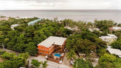 Hotel Hummingbird Suites