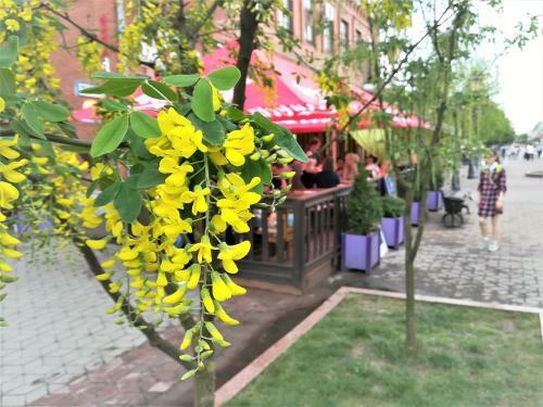 Apartament Na Adamkovskoy