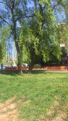 Apartment On Kirova 133