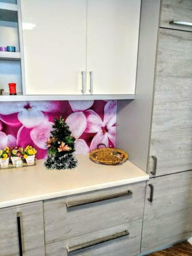 Apartamento Studio