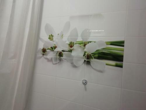 Apartment Center Azeska 49