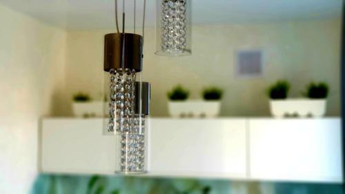 Apartment Center Azeska 49
