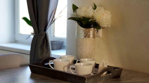 Apartment Center Azeska 49