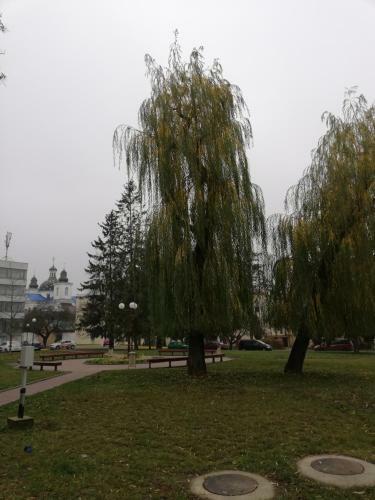 Apartment Na Zamkovoy