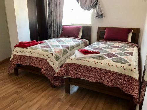 Apartamentos Edicifio Torre Esteban 488