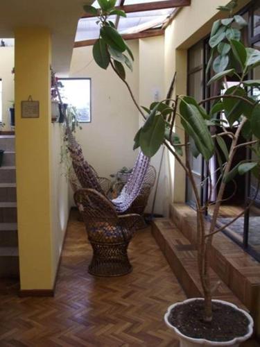 Gloria�s House