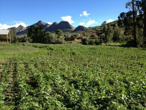 Bed & Breakfast El Molino
