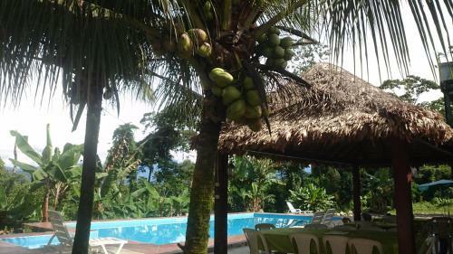Hotel Puerto Selva