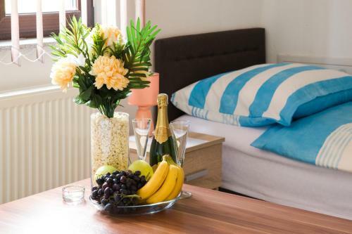 Hostal Guesthouse Vila Puzic